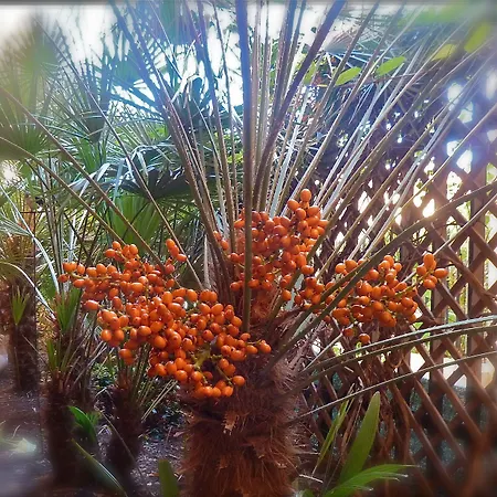 Yacht Club Marciana Marina (Isola d'Elba)